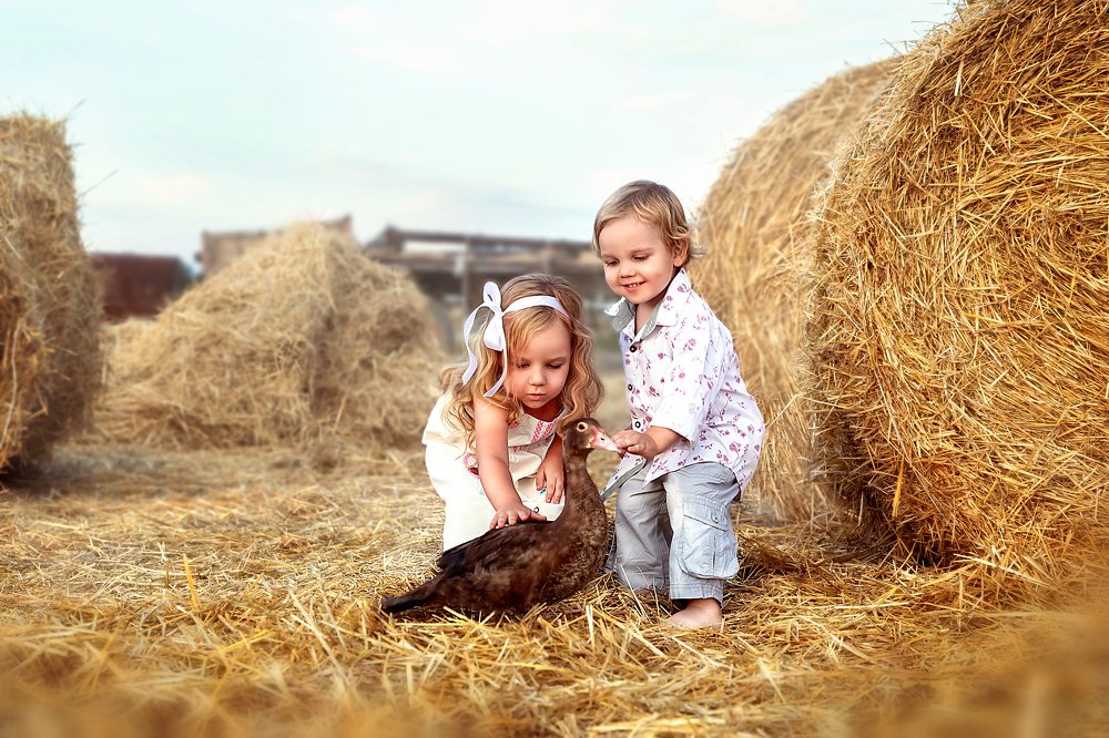 Photograph by Дарья Нартова