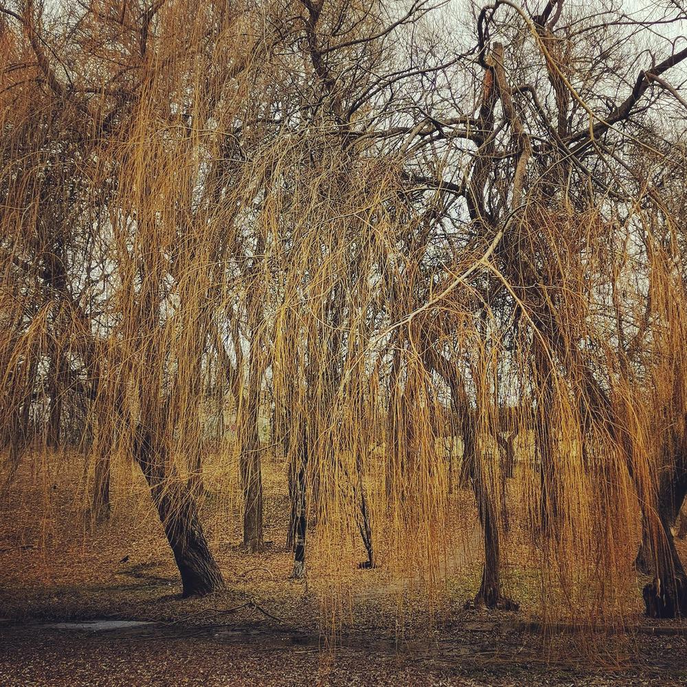 Photograph by Сергей Коняшин