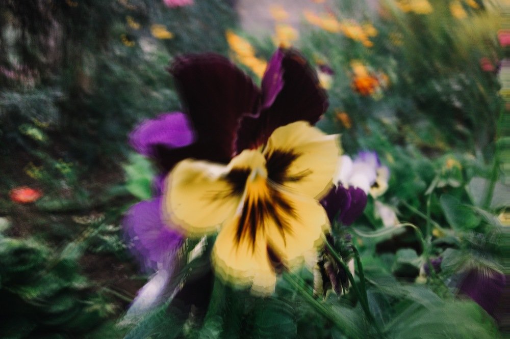 Photograph by Гребёнкина Ирина