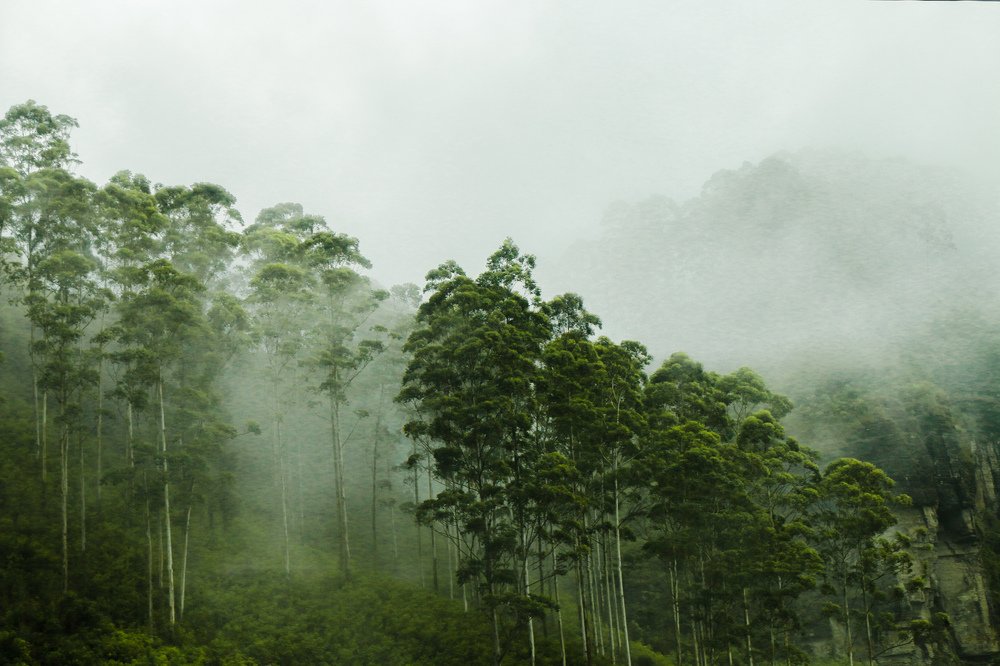 Photograph by Indunil Madusanka
