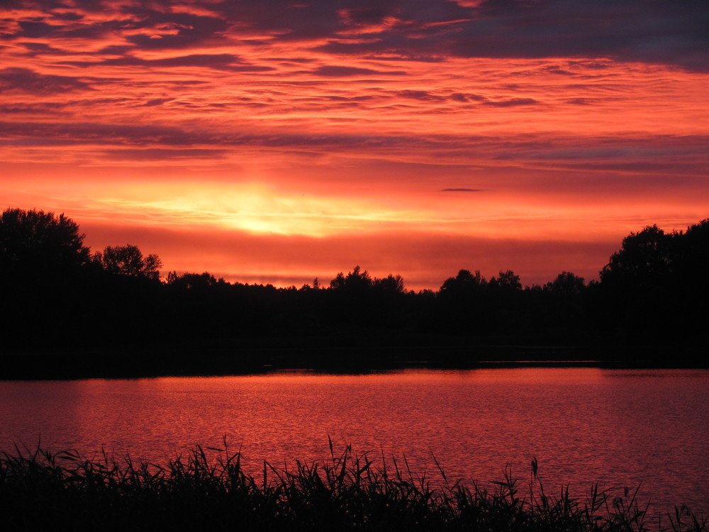 Photograph by Юлия