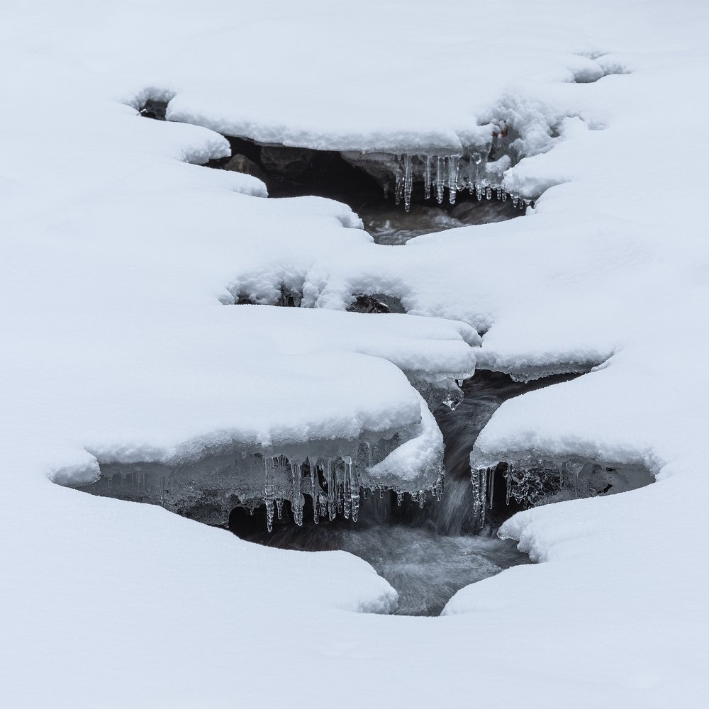 Photograph by Алексей Бойко