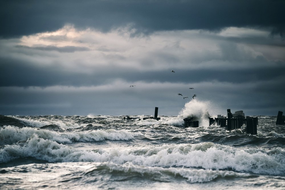 Photograph by Сергей Абраменков