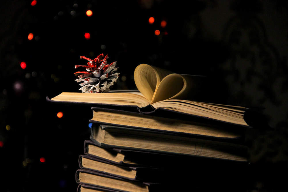 Любимые книги в новогодние каникулы