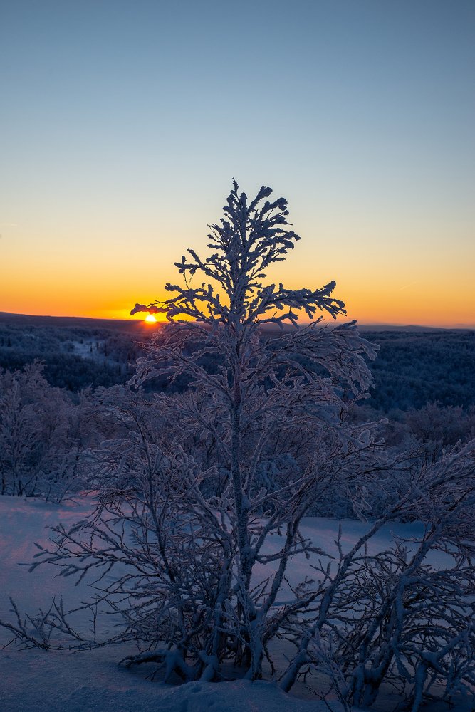 Первое солнце. Мурманск.