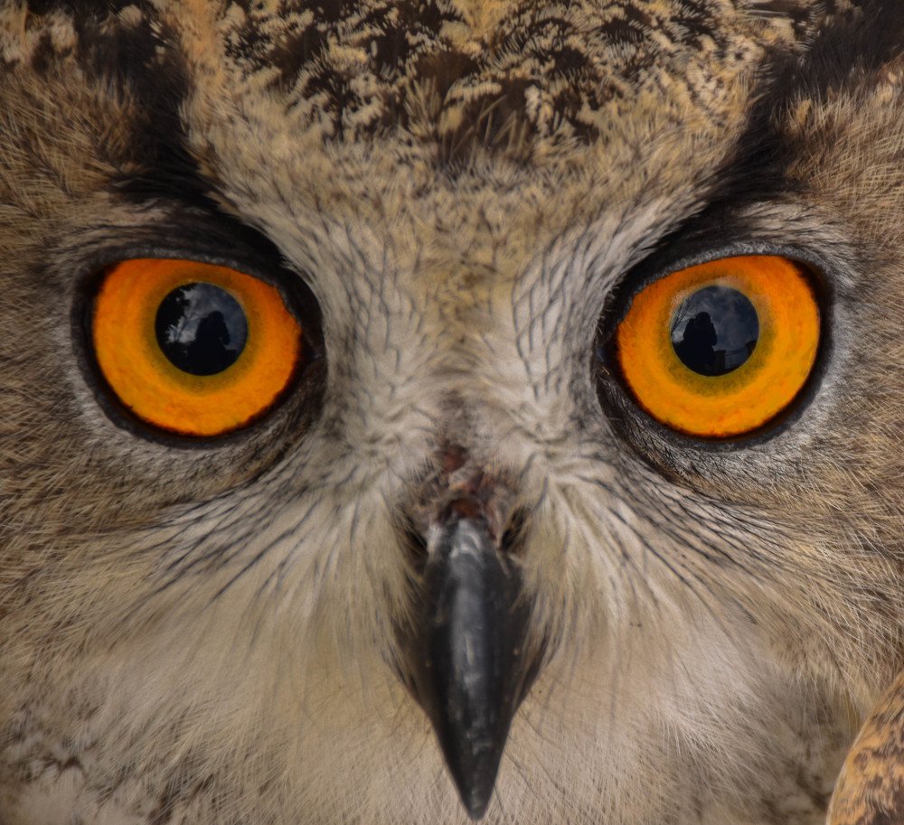 Photograph by Elham Khanpour