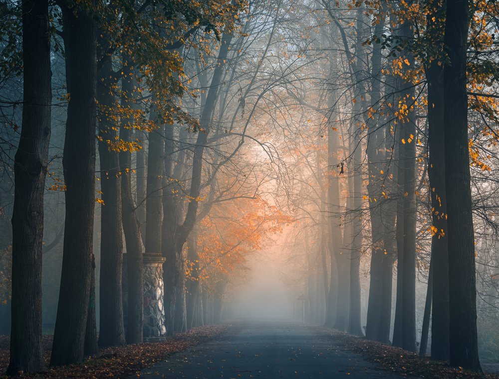 Photograph by Андрей Ожерельев