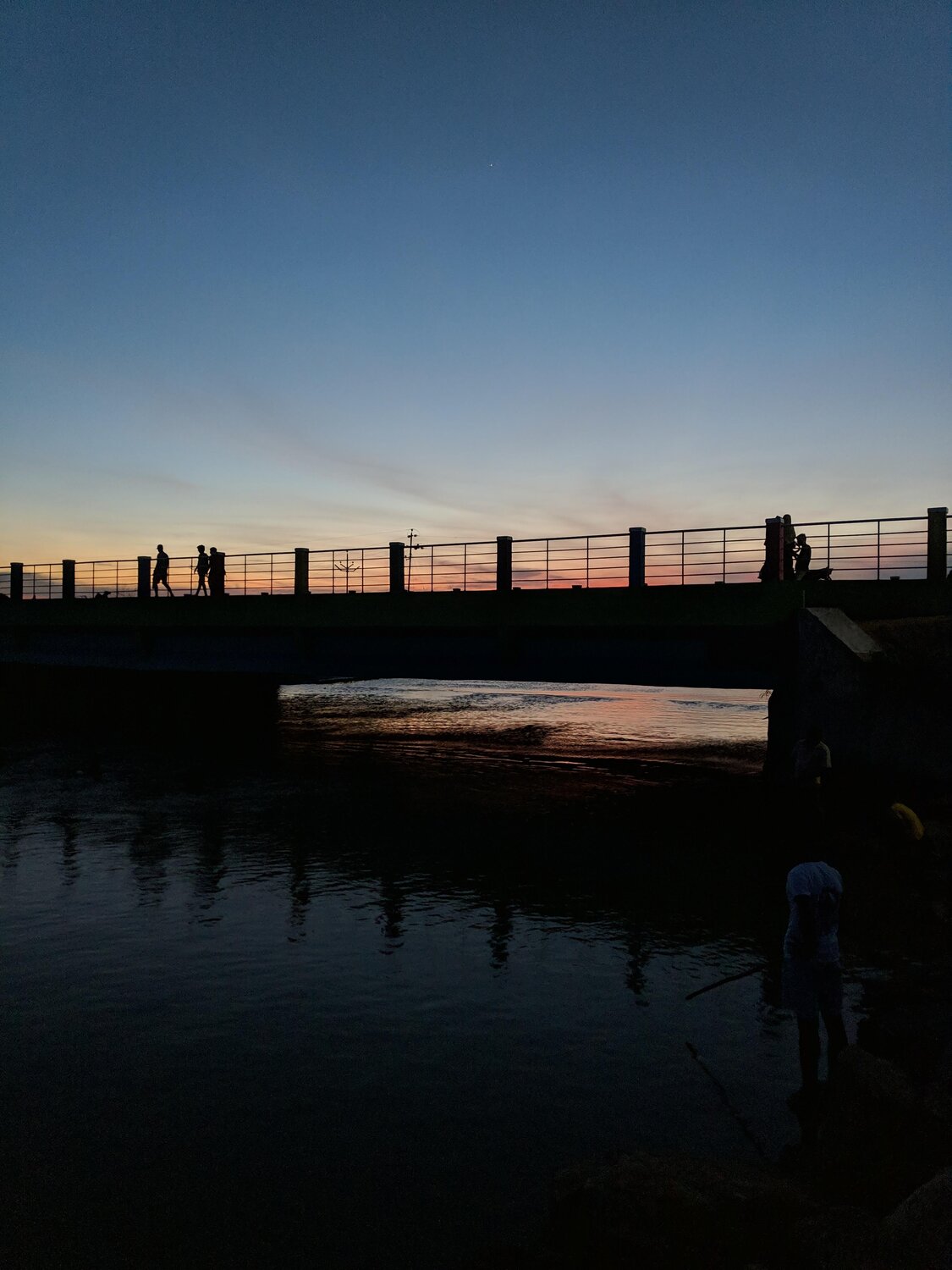 Photo #5518001