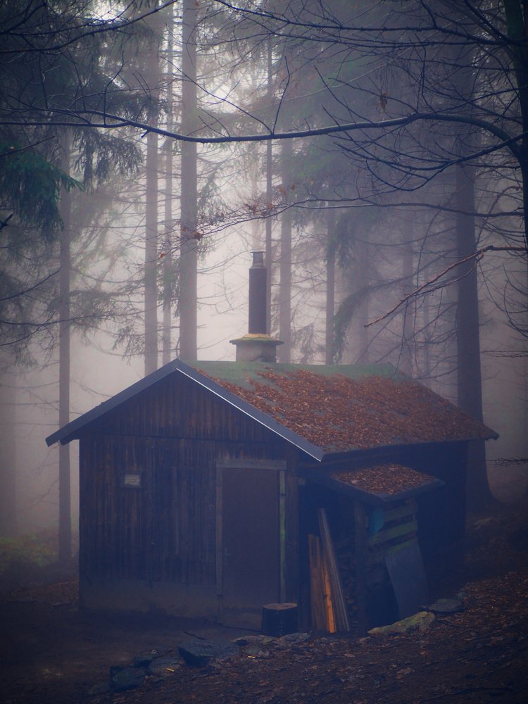 Photograph by Petr Kočica