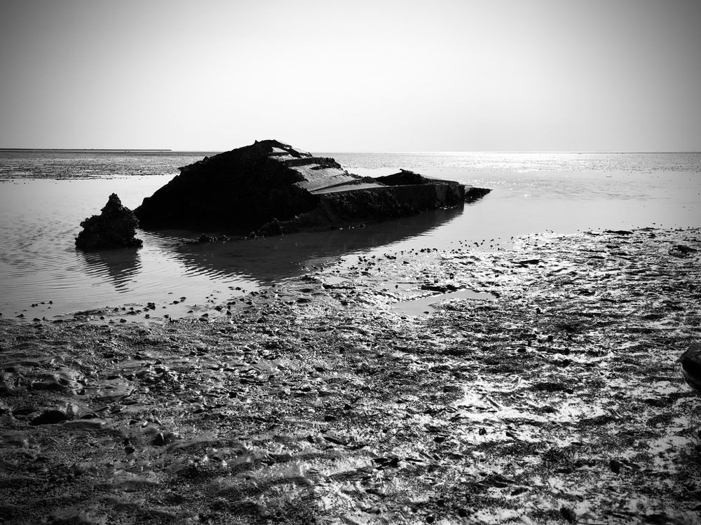 Photograph by Parsa Torabi