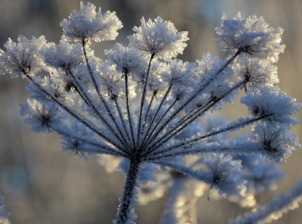 Photograph by Наталья Кошелева