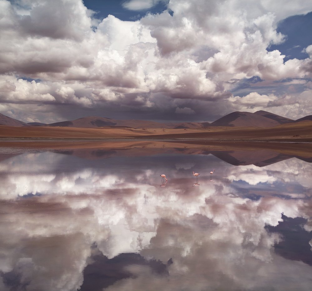 Photograph by Екатерина Сысоева