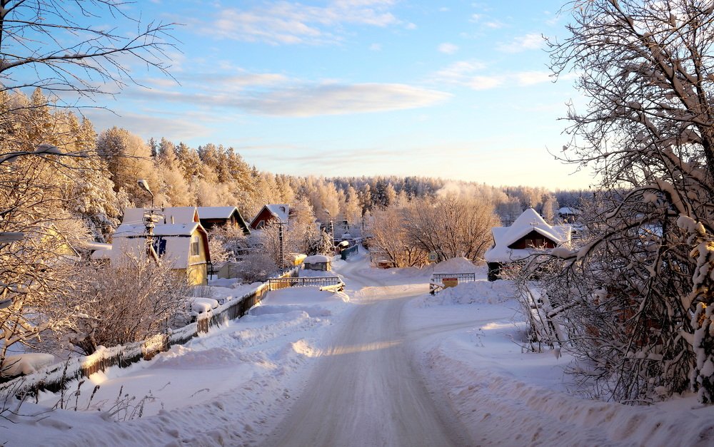 Январское  утро .