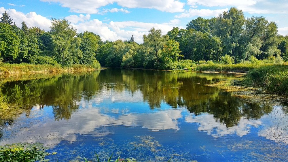 Photograph by Виталий Фролов