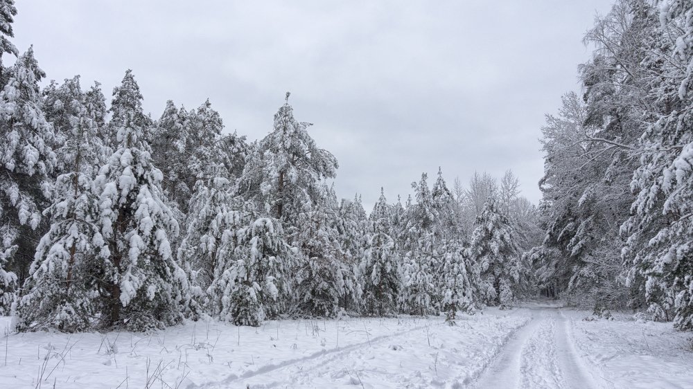 Photograph by Andreas Koff