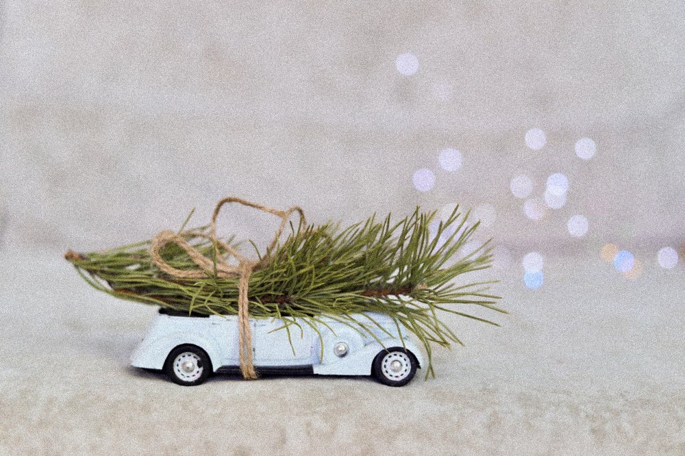 Photograph by Татьяна Мочалова