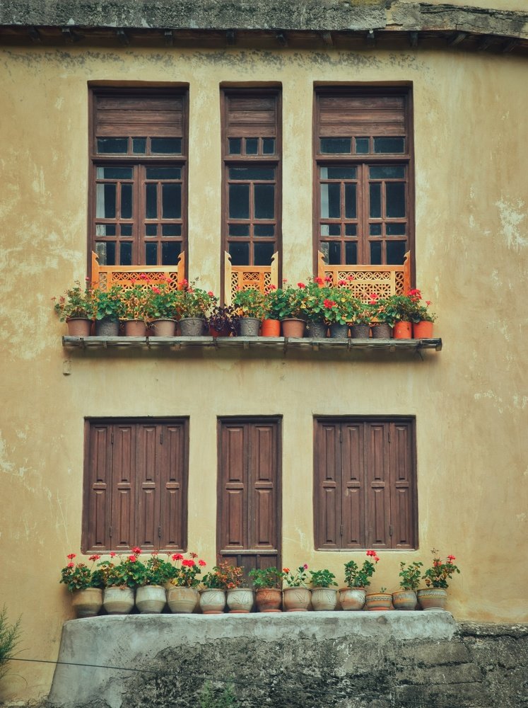 Photograph by Mohammadreza Sabetikhah masuleh