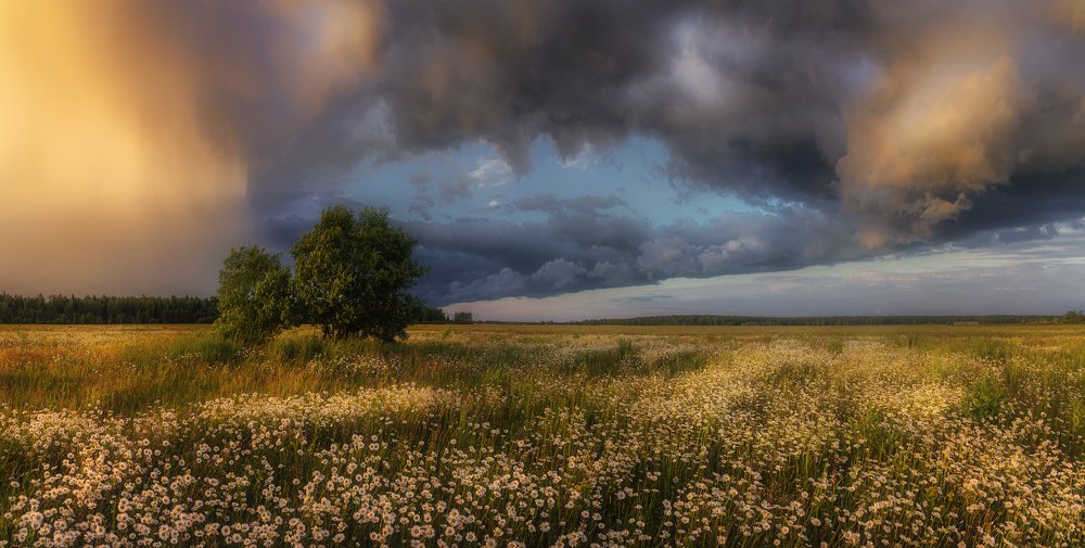 Фотография автора Евгений Ерохин