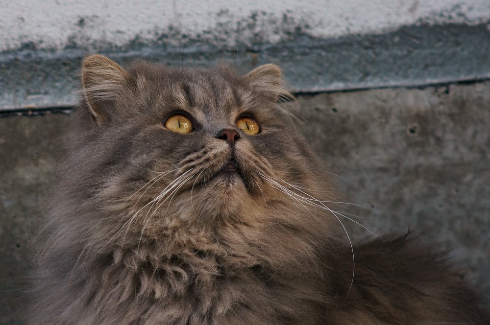 Photograph by Владимир Янчук