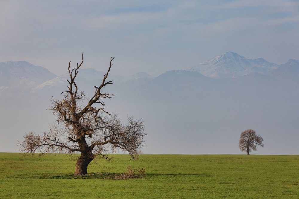Photograph by Aleksandr Karyagin
