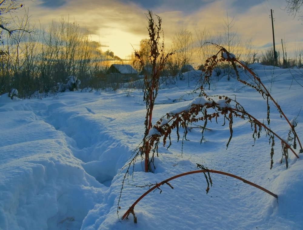 Photograph by Татьяна Дорожко