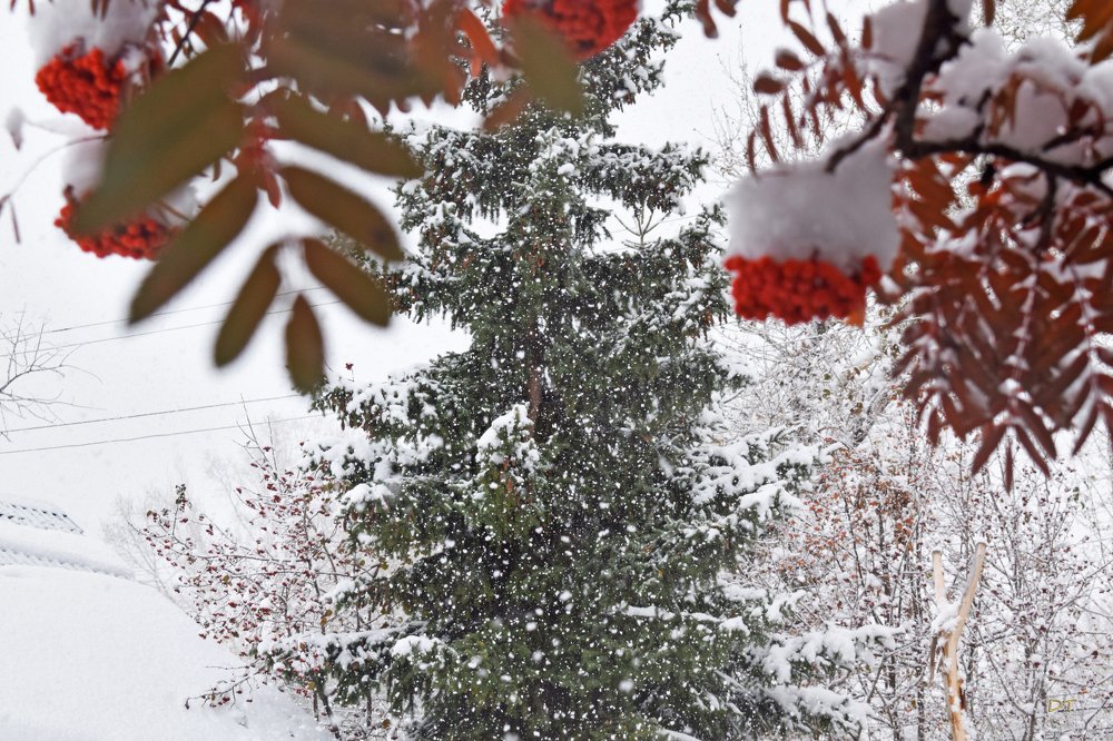 Photograph by Татьяна Дорожко