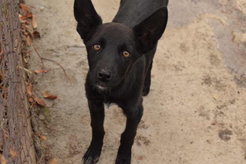 Photograph by Татьяна Дорожко