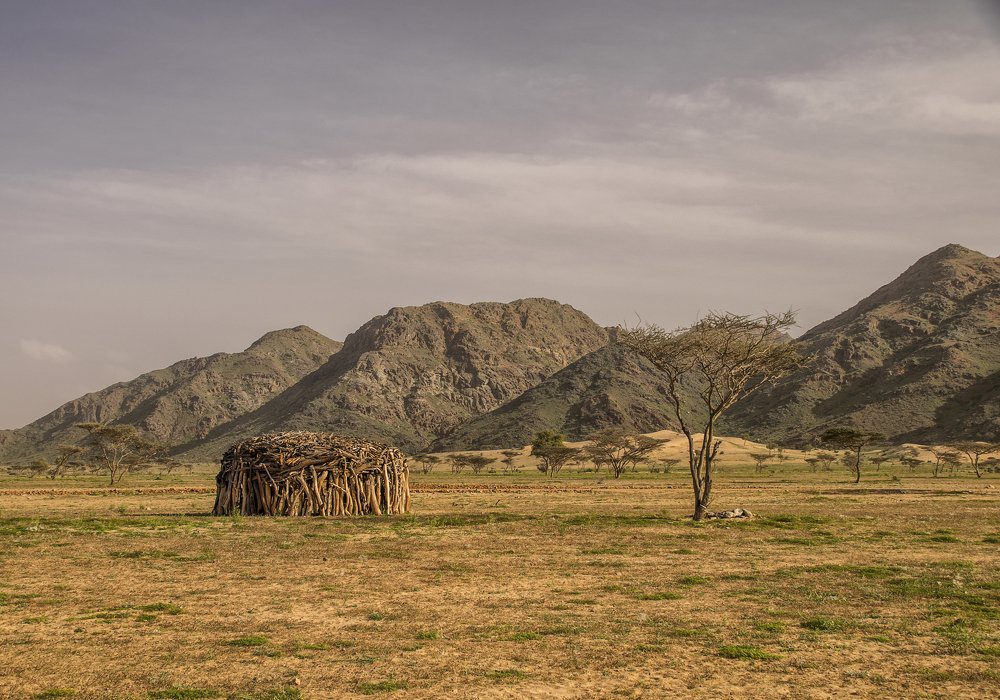 Фотография автора Sherine El Mously