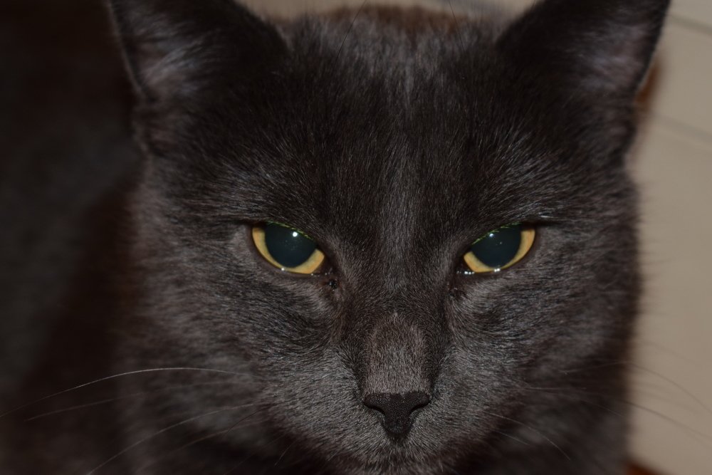 Photograph by Татьяна Дорожко