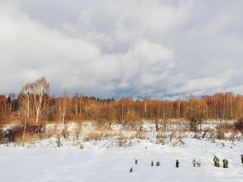 Photograph by Александр Танчук