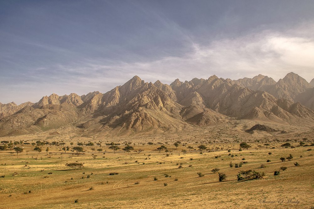 Фотография автора Sherine El Mously