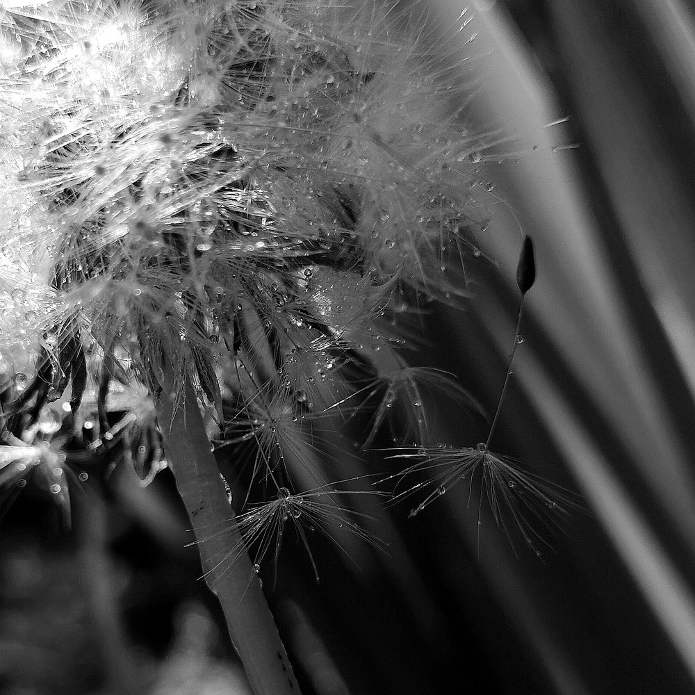 Photograph by Ирина Коновалова