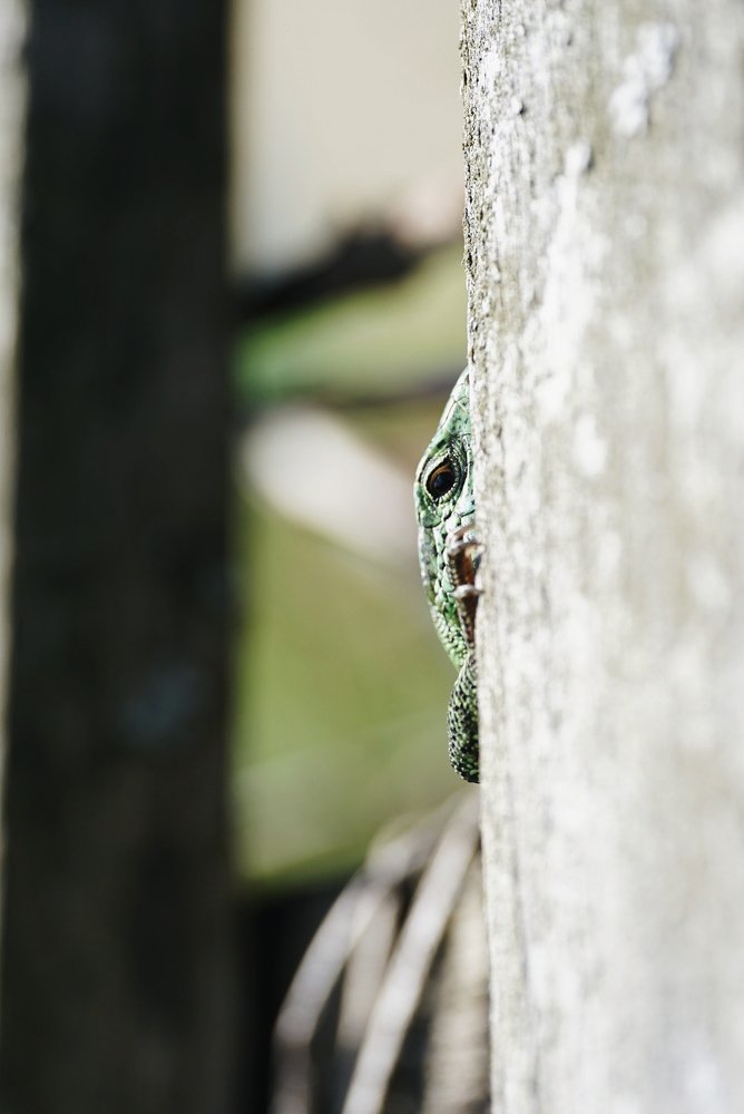 Photograph by Ксения Щербакова