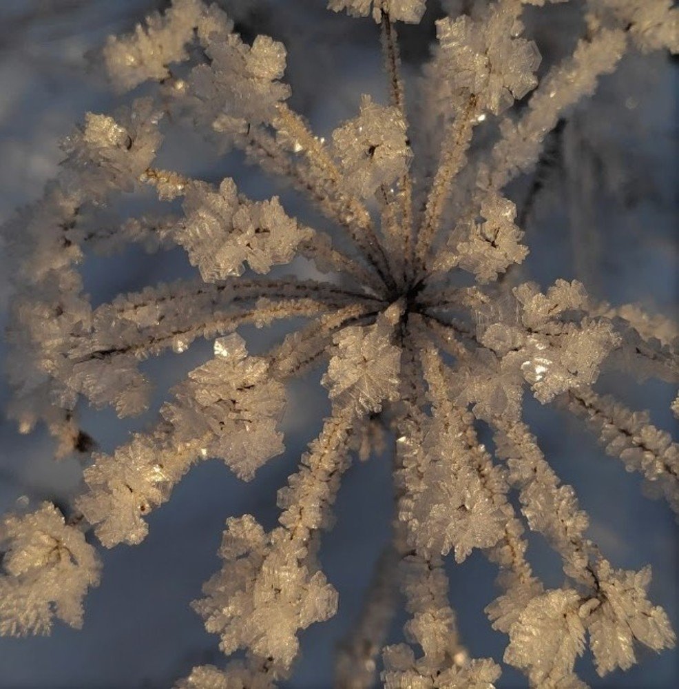 Photograph by Наталья Кошелева