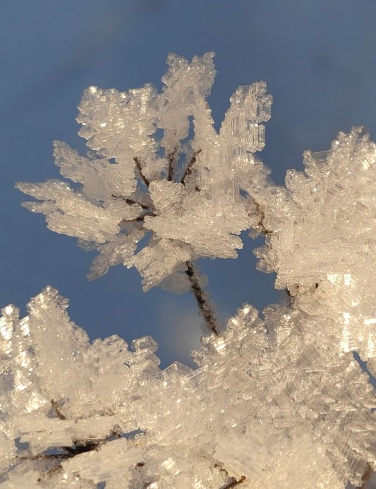 Photograph by Наталья Кошелева