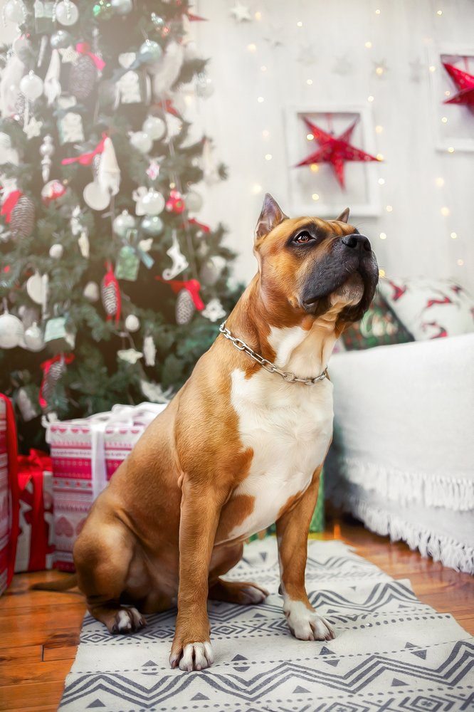 Photograph by Анна Григорьева