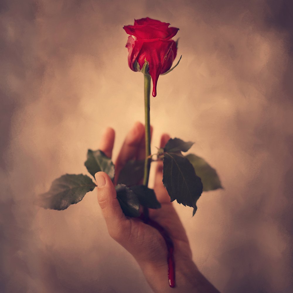 Photograph by Florence Delvaux