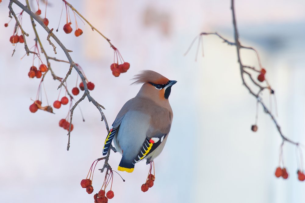 Photograph by Вячеслав Заметня