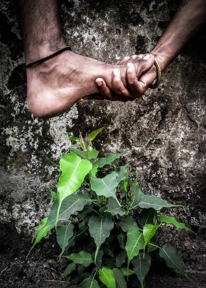 Photograph by ANKIT Sagar