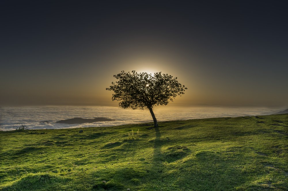 Photograph by Mohamad Baghestani