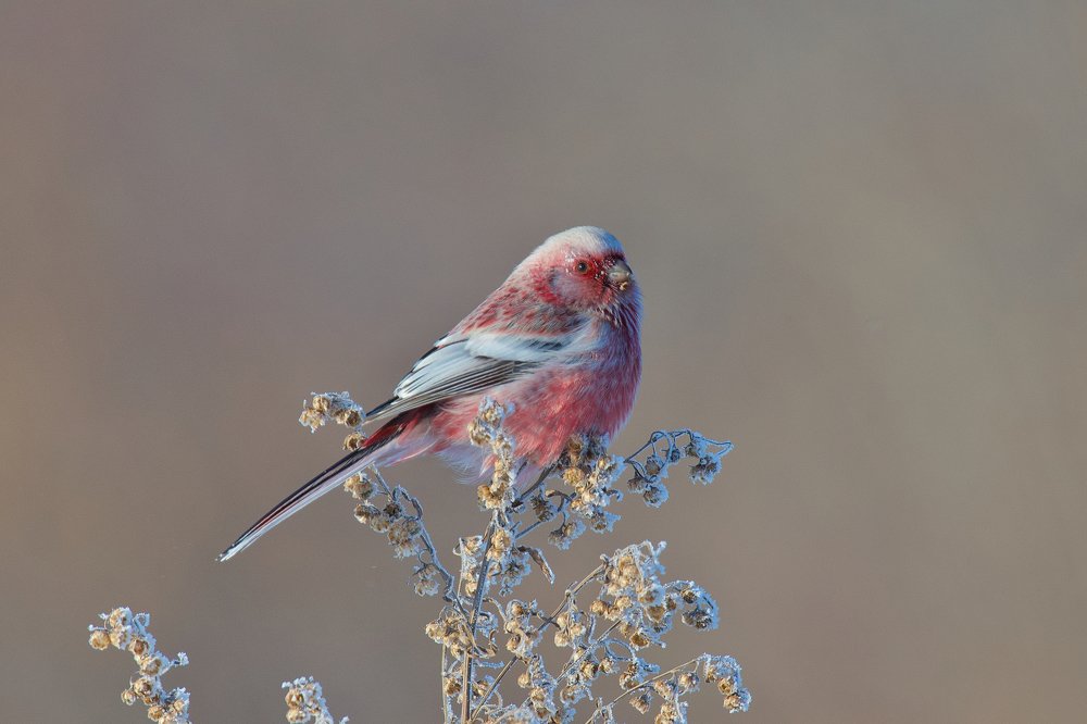 Photograph by Вячеслав Заметня