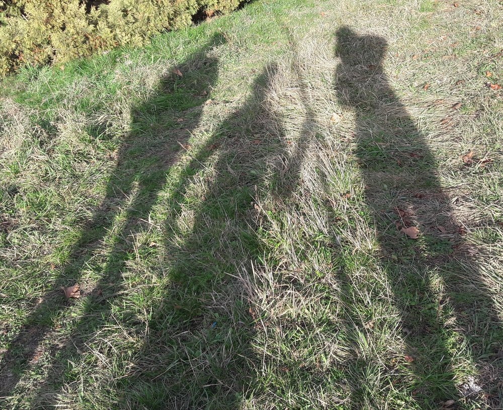 Photograph by Елизавета Можельская