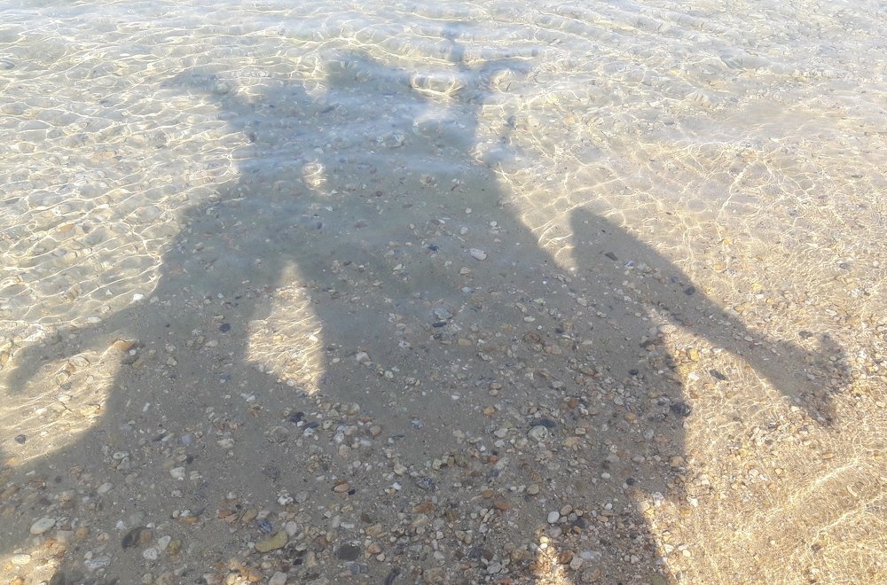 Photograph by Елизавета Можельская