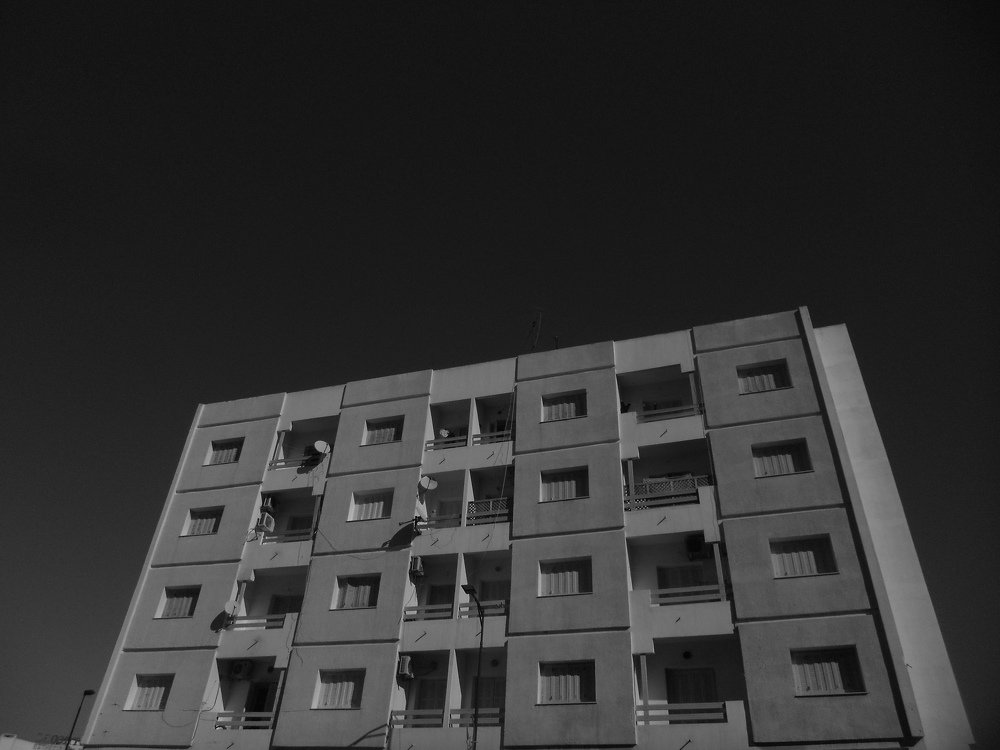 Photo #5519001