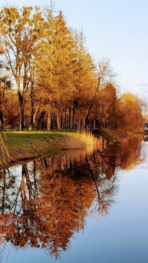 Photograph by Ирина Пшеничникова