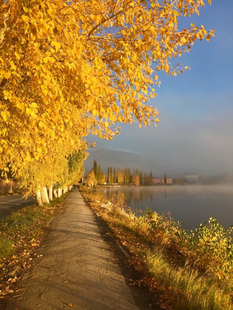 Золотая осень.