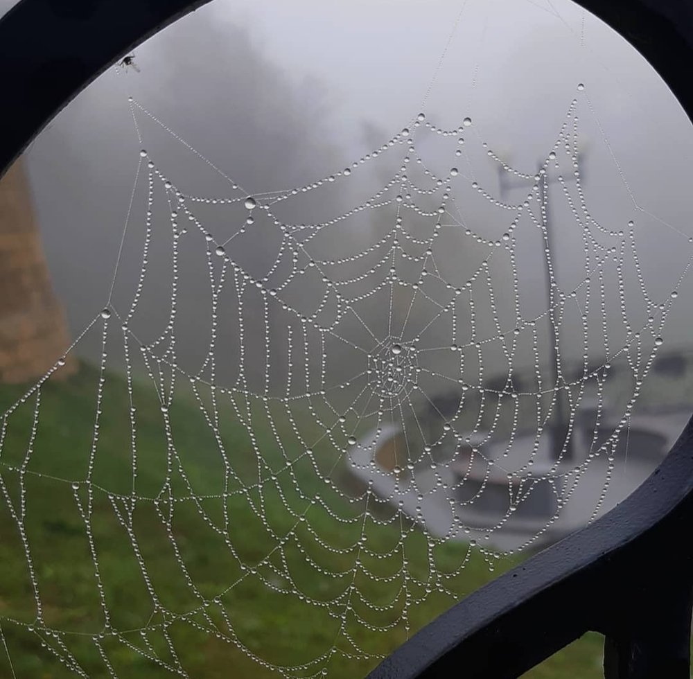 Photograph by Анна Терейковская