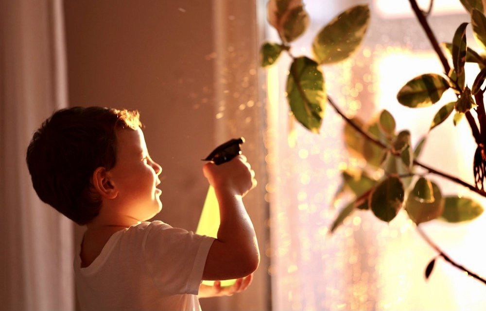 Photograph by Елена Комарова