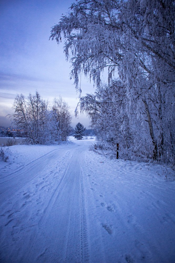 Photograph by Сергей Гамзюков
