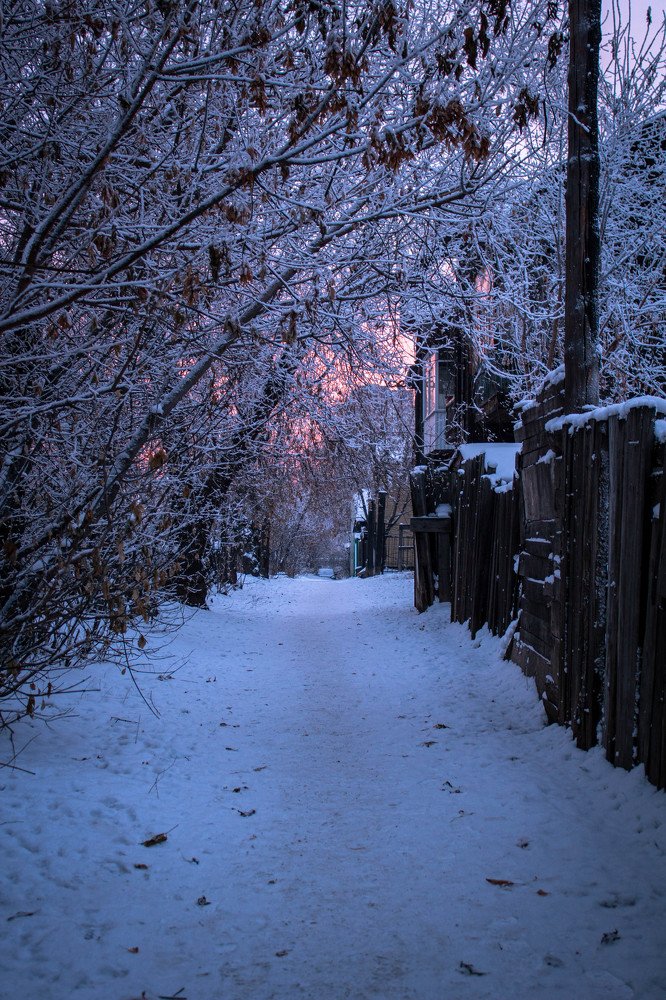 Photograph by Сергей Гамзюков